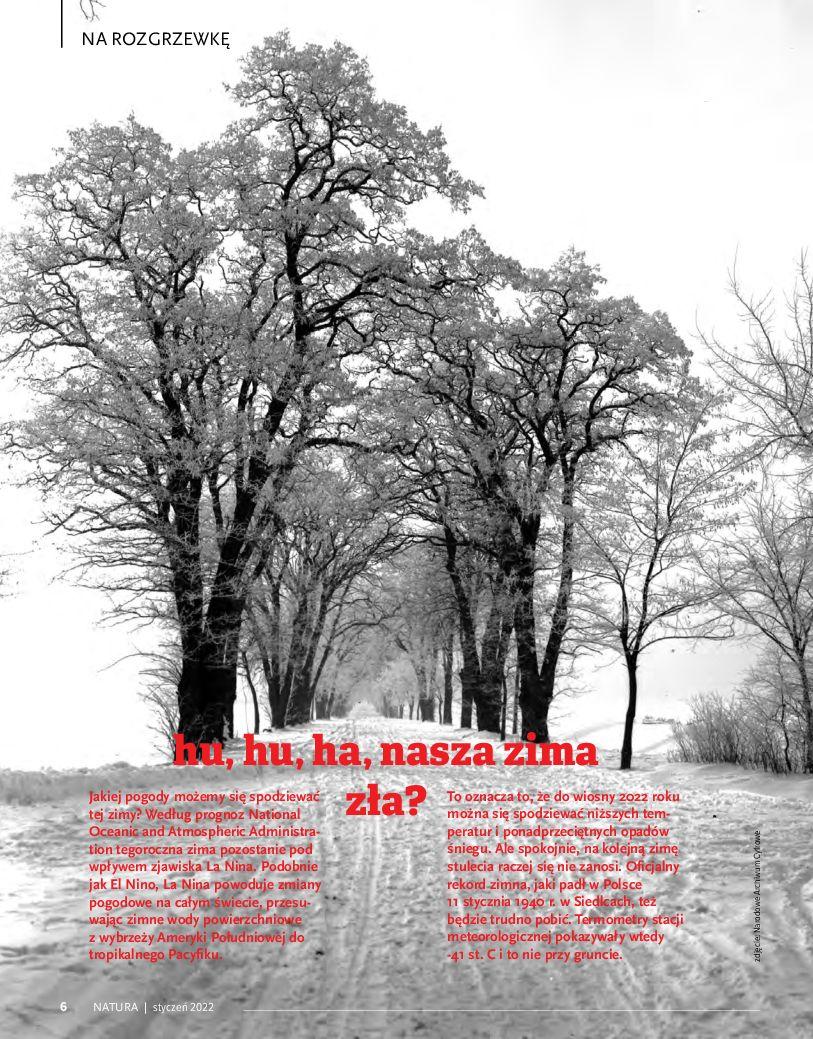 Gazetka promocyjna Drogerie Natura str. 6