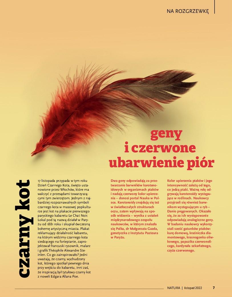 Gazetka promocyjna Drogerie Natura str. 7