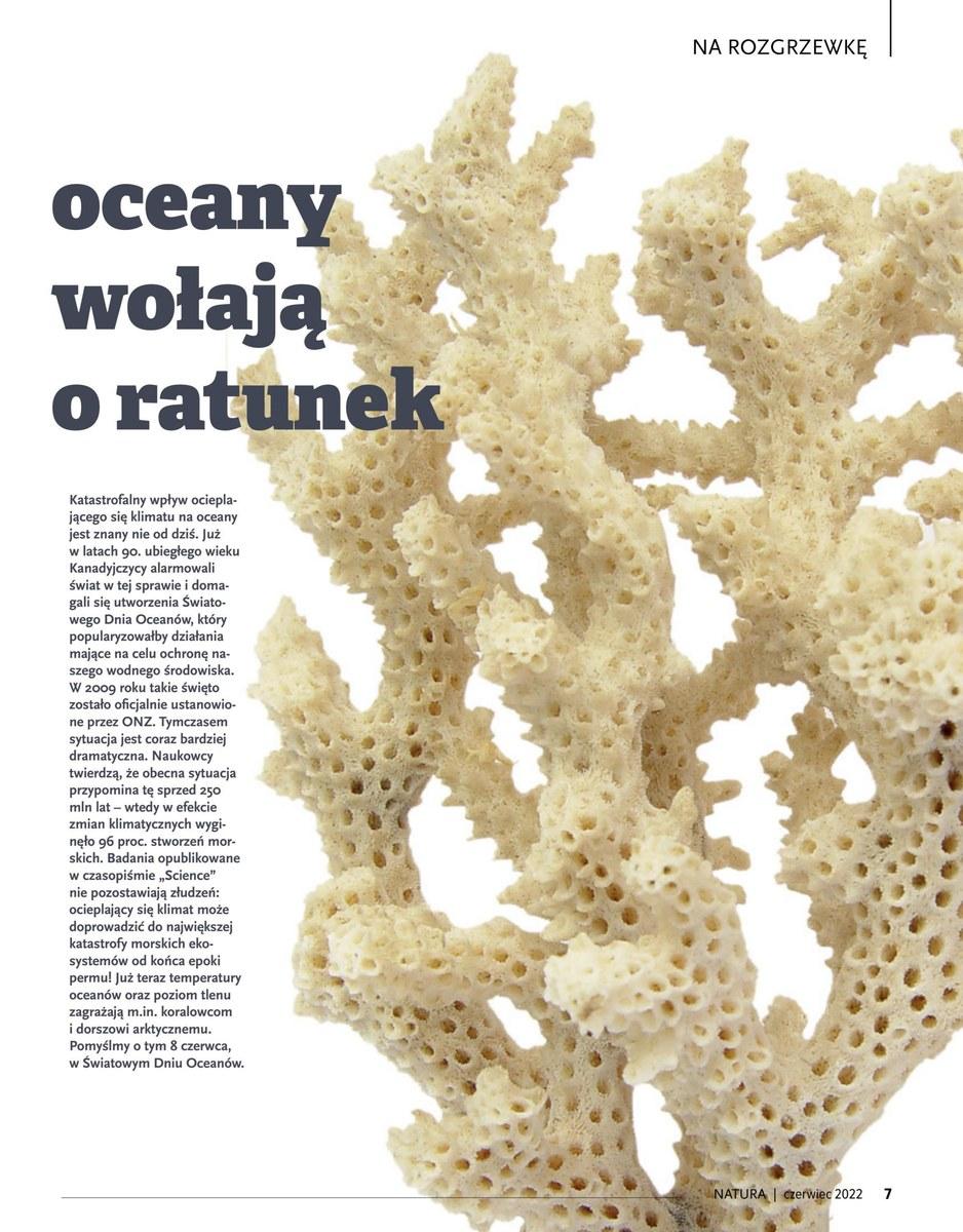 Gazetka promocyjna Drogerie Natura str. 7