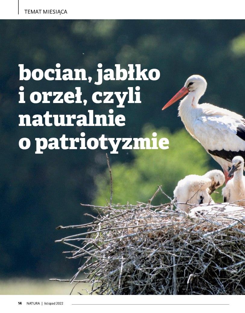 Gazetka promocyjna Drogerie Natura str. 14