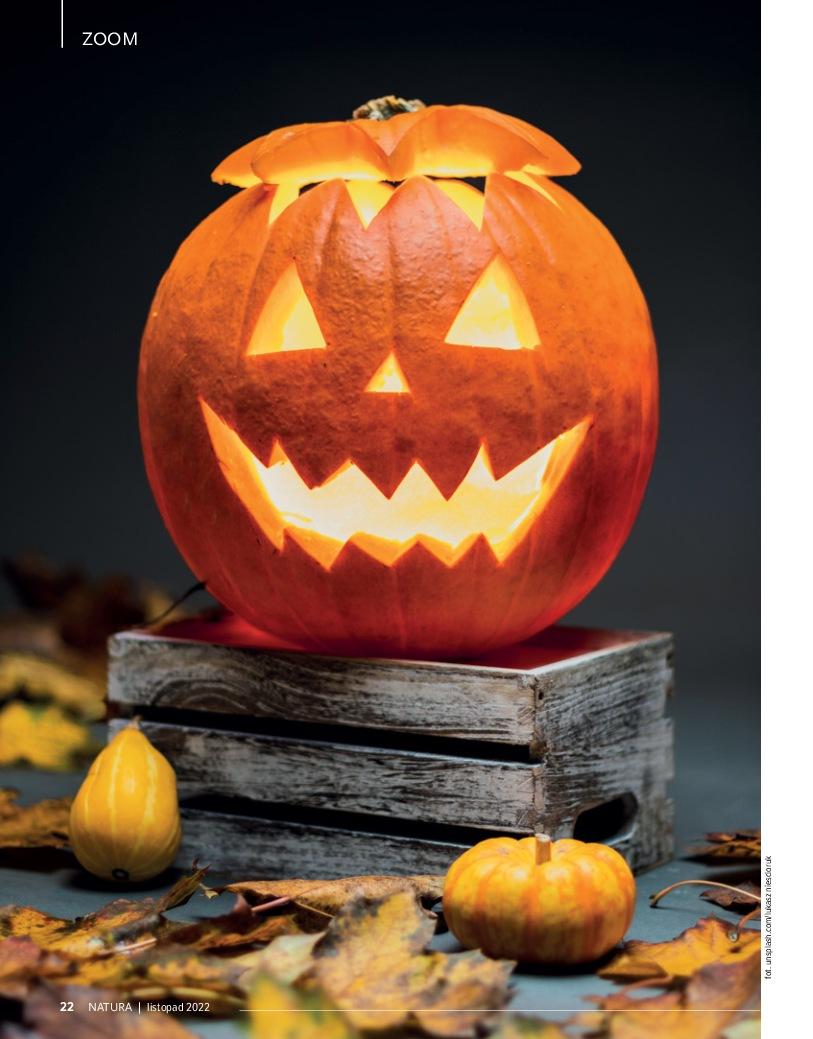 Gazetka promocyjna Drogerie Natura str. 22