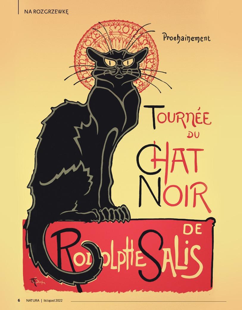 Gazetka promocyjna Drogerie Natura str. 6