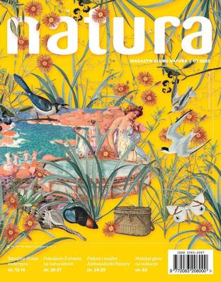 Katalog Natura