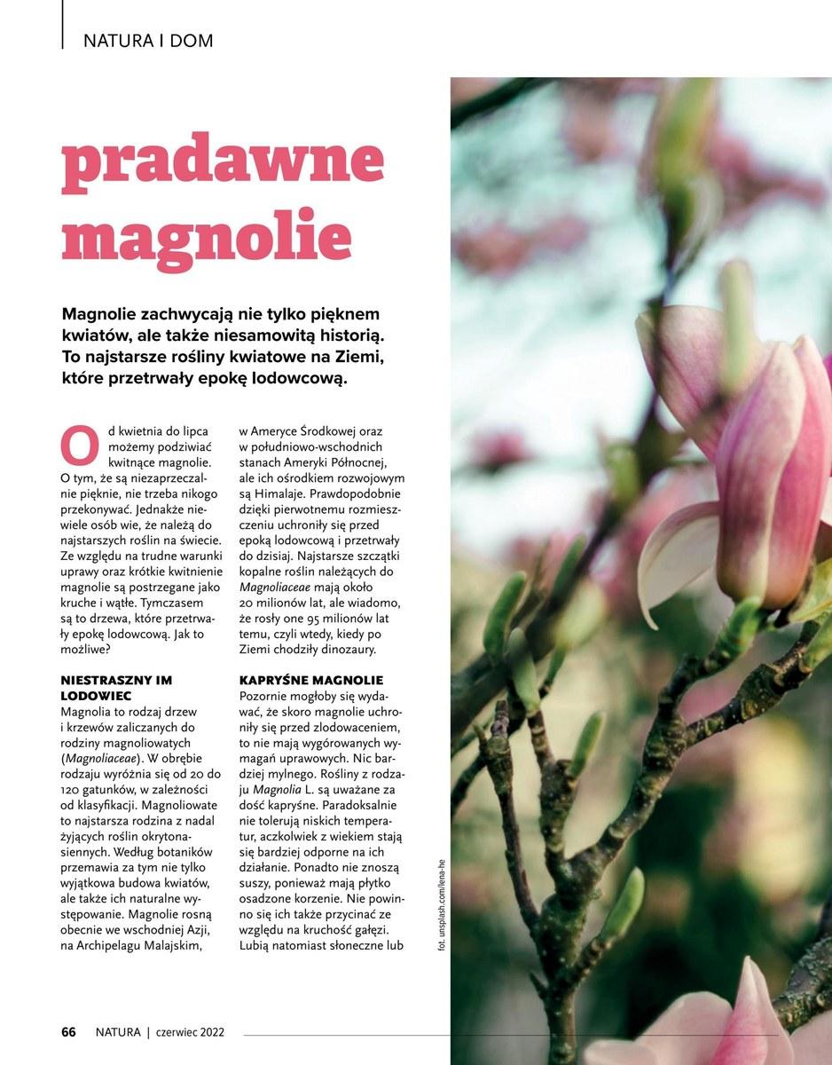 Gazetka promocyjna Drogerie Natura str. 66